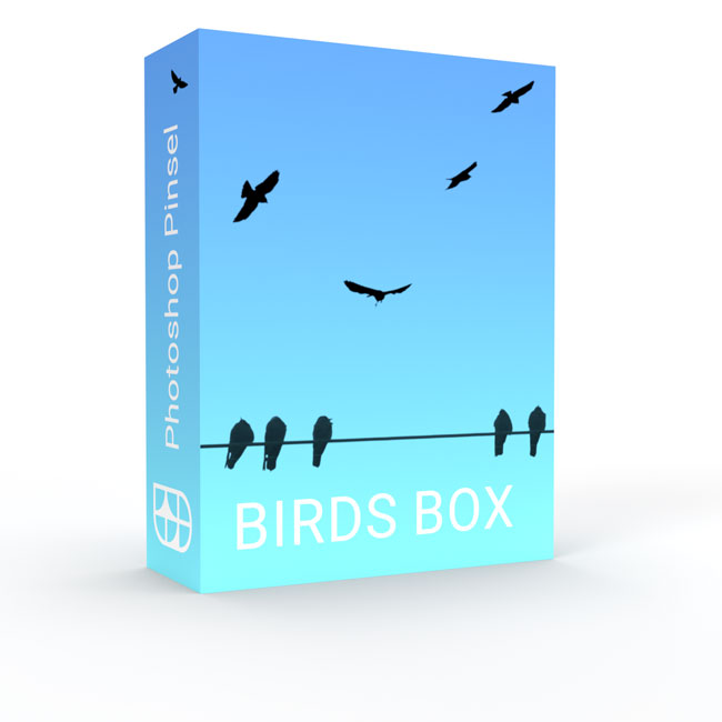 Birds Box
